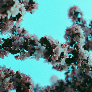 斗哥操个大逼逼。
