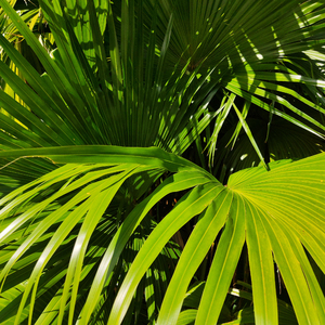 斗哥操个大逼逼。
